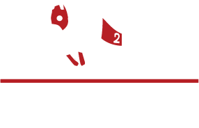 Second Chance Sporthorses