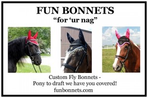 FUN Bonnets