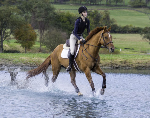 Tilly and Zoe at Morningside Training Farm